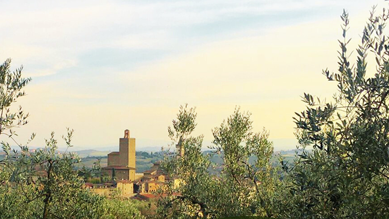 ‘Coltiviamo la pace’, l’associazione Strade dell’Olio e del Vino donerà un ulivo durante la Camminata tra gli olivi